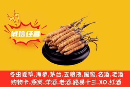 中卫市回收冬虫夏草